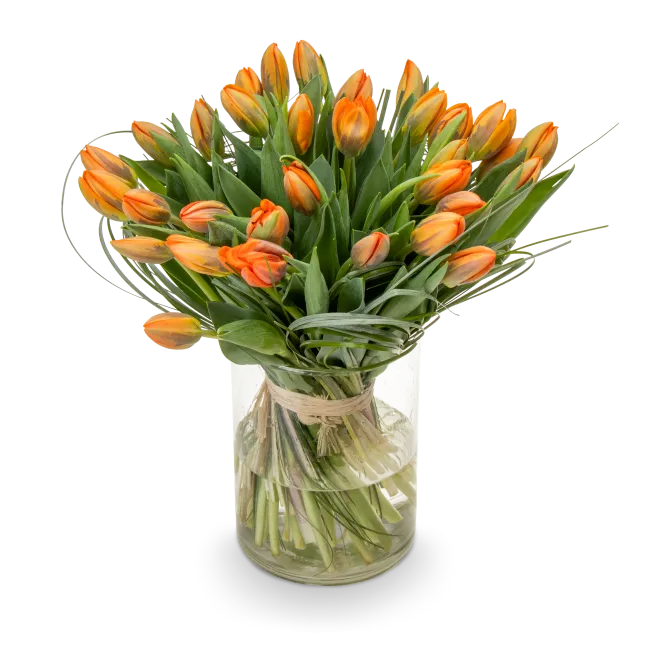 Kytice tulipánů